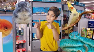 petco fun tour  cute exotic animal [upl. by Latnahs]