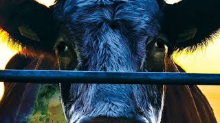 COWSPIRACY The Sustainability Secret [upl. by Kartis663]