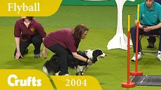 Flyball Final from Crufts 2004  Crufts Dog Show [upl. by Eoz]