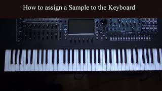 Raland Fantom06  How to play a Sample with a Key [upl. by Nichola]