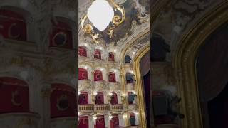 Deutsches Opernhaus Prag Shorts prague vlog opera [upl. by Yrhcaz]