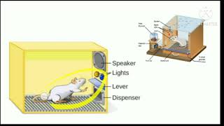 Operant conditioning theory of learning in Hindi [upl. by Ahsaekal41]