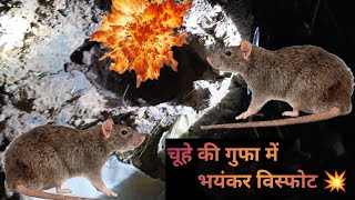 चूहे की बिल में हुआ भयानक विस्फोट  💥🐀 Pahadi Vlog  my first vlog  sonuvlogsd6u [upl. by Ahsaei]