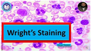 Wrights stain Methanol based Romanowsky stains needs no fixation  Hematology  by Imran Yaseen [upl. by Derayne305]