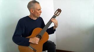 Preludium and Fantasia John Dowland Guitar [upl. by Damas]