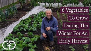 6 Vegetables To Grow During The Winter For An Early Harvest [upl. by Yesdnil]