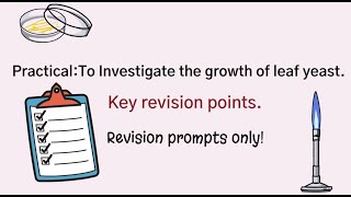 Leaf Yeast Practical Rapid Revision [upl. by Drabeck]