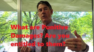 Punitive Damages  What Are They When Do Judges Award Them [upl. by Yancy]