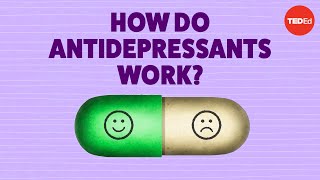 How do antidepressants work  Neil R Jeyasingam [upl. by Dulcine]