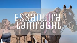 Morocco 4  Essaouira amp Tamraght  Horse back riding beach surfing [upl. by Nowd762]