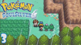 Pokemon SoulSilver 3  Union Cave To Azalea Town [upl. by Esekram289]