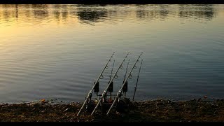 Linear Fisheries  The Number One Day Ticket Carp Water [upl. by Reisch]