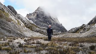 CARSTENSZ PYRAMID 4884 MDPL Gunung Jayawijaya TRAILER [upl. by Calhoun]