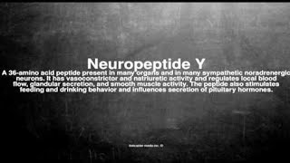 Neuropeptide Y [upl. by Maon]