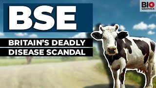 BSE Britain’s Deadly Disease Scandal [upl. by Paterson999]