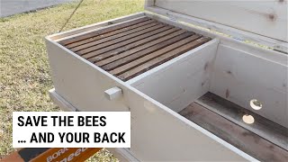 Long Langstroth Beehive Setup [upl. by Dumas]