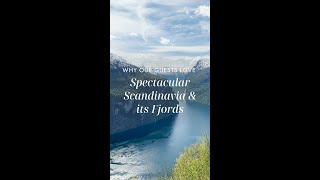 Why Our Guests Love Spectacular Scandinavia amp its Fjords [upl. by Naruq98]