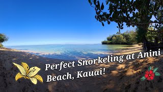 Perfect Snorkeling at Anini Beach Kauai [upl. by Trillby]