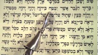 Haftorah Haftarah BeharBechukotai Rabbi Moshe Weisblum קריאת הפטרה בהרבחוקותי הרב משה ויסבלום [upl. by Adnilak]