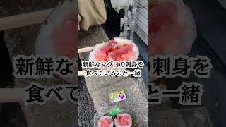 【築地場外市場】美味いものはすべてココにある‼️食べ歩き天国だ‼️ [upl. by Ecirual583]