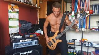 Father of the Wolf by Amon Amarth bass cover [upl. by Okuy]