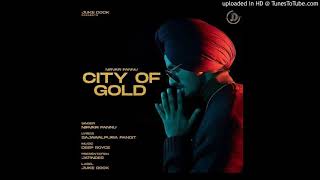 City Of Gold  Nirvair Pannu Full Audio [upl. by Wan]