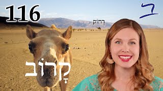 Near amp Far  Biblical Hebrew  Lesson 116 [upl. by Hobie]