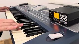 Turski Cocek  Korg pa800 [upl. by Scriven]