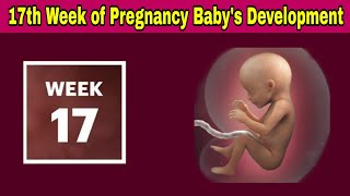 17th Week of Pregnancy Symptoms Changes amp Baby Development  17th Week of Pregnancy in telugu [upl. by Cyprio]