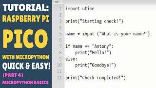 Raspberry Pi Pico  MicroPython  Simple Tutorials  Lesson 4 Basic Programming [upl. by Aik]