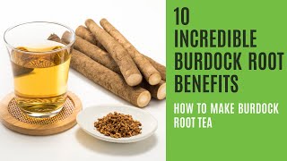 10 Impressive Benefits of Burdock Root  How to Make Burdock Root Tea [upl. by Fayette199]