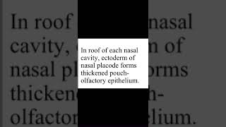 DEVELOPMENT OF THE NASAL CAVITIES [upl. by Ennaira]