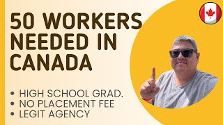 50 WORKERS NEEDED IN CANADA I HIGH SCHOOL GRADUATE I BUHAY SA CANADA [upl. by Etteuqram]