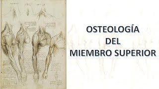 Osteología del miembro superior [upl. by Airetnuhs]