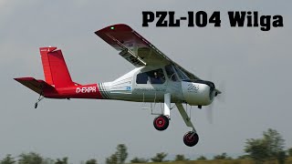 PZL104 Wilga BADAN  giant scale RC airplane  4K  Holesov 2022 [upl. by Greenwell]