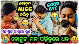 ବୋହୁତ ମନ ପଡ଼ିବୁରେ ଧନ 😭 ସମସ୍ତେ କାନ୍ଦିଲେ 😓  Odia bhaina vlogs  Odia vlogs [upl. by Tracee453]