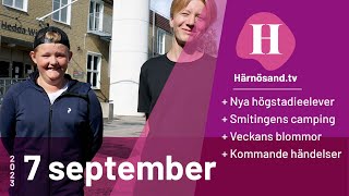 HärnösandTV – 7 september [upl. by Littell93]