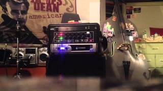 hilbish sunn beta preamp copy test bass squier jp melvins electric flower tone [upl. by Adhern]