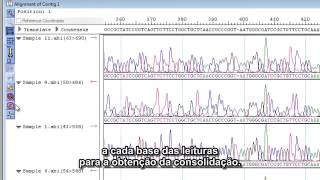 DNASTAR – Montagem e análise de dados de sequenciamento de Sanger PTBR [upl. by Nwahsar580]