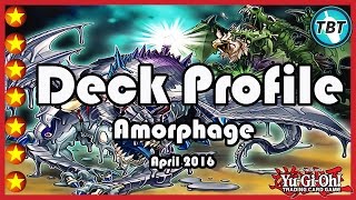 TBT Amorphage Deck Profile MaiMay 2016 YuGiOh GermanDeutsch [upl. by Pettifer931]