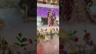 Star events planner and decoration shortvideo all types of managementwedding ⭐⭐⭐ [upl. by Eloc]