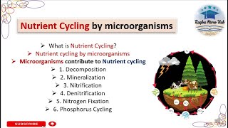 Nutrient Cycling by microorganisms ecology microbiology raqbamicrohub [upl. by Okim169]