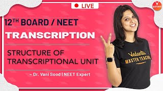 NEET Molecular Basis of Inheritance  L12  Transcription  Class 12  NEET Biology  Vedantu [upl. by Gretel]