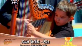 Arpa Paraguaya con Josué Benitez interpretando Paraguaýpe [upl. by Eocsor798]