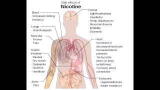 Side Effect of Nicotine Use [upl. by Leonard719]