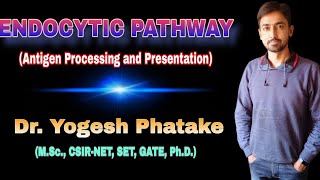 Endocytic Pathway Antigen processing and presentation Explained by Dr Yogesh [upl. by Karleen]