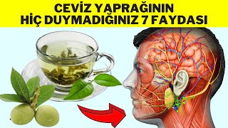 CEVİZ YAPRAĞININ ŞAŞIRTICI 7 FAYDASI  Ceviz Yaprağı Çayı Nasıl Yapılır  Ceviz Yaprağının Faydaları [upl. by Colpin]