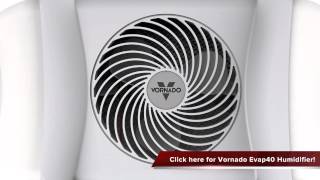 Vornado Evap40 4 Gallon Evaporative Humidifier Review [upl. by Scrope]