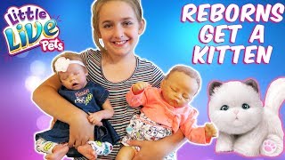 Reborn Baby Doll Unboxing Surprise Kitten and New Reborn Outfits  The Patsy Family [upl. by Leitao838]