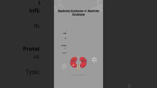 Nephrotic Syndrome vs Nephritic Syndrome [upl. by Goth]